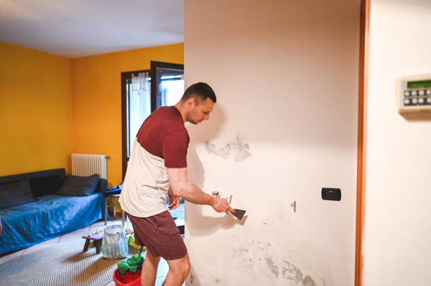 Best White Mold Remediation in Miamisburg, OH